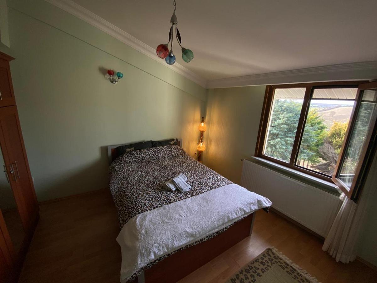 Havalimanina Yakin Orman Icinde Ferah Villa1 Arnavutkoy Exteriér fotografie