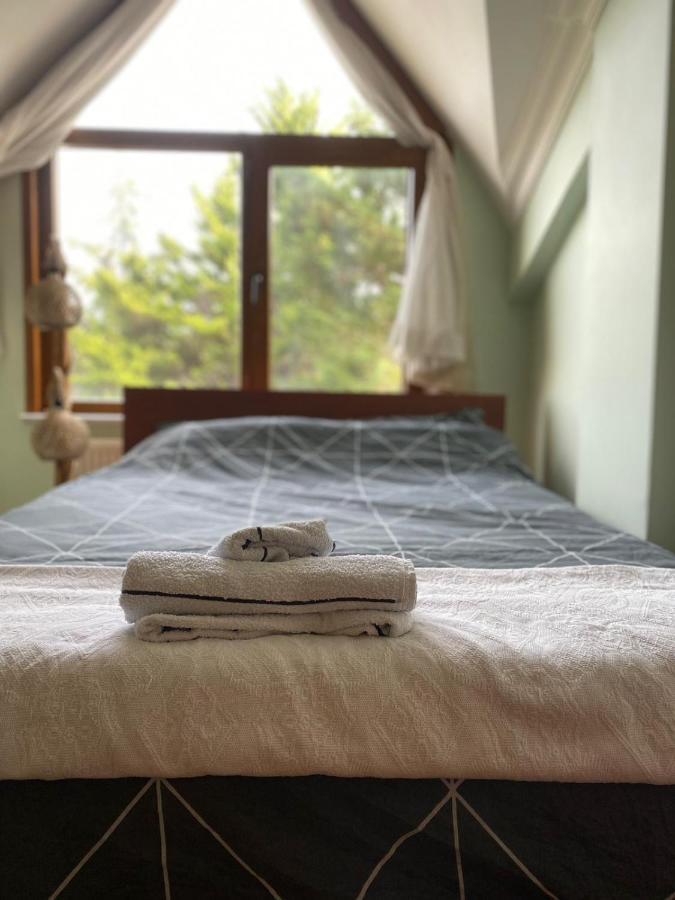Havalimanina Yakin Orman Icinde Ferah Villa1 Arnavutkoy Exteriér fotografie